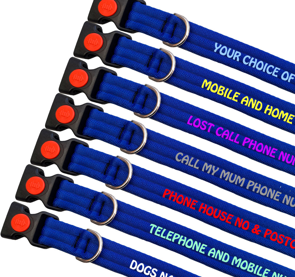 Personalised Dog Collars Padded Range For Small Dogs | Royal